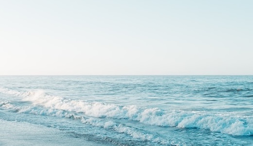 性風俗関連の申請方法